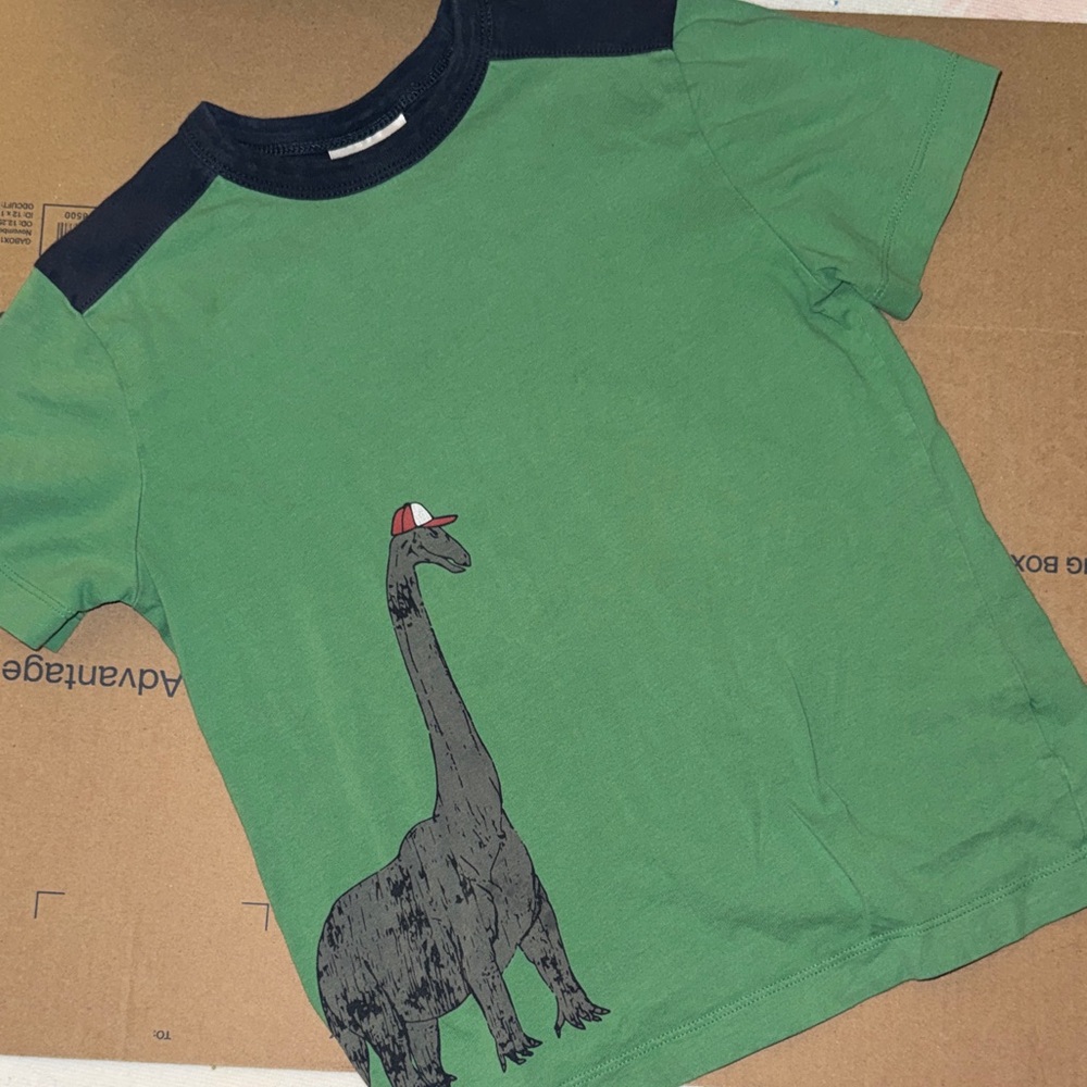 Hanna Andersson Green Tee with Navy Trim and Dino Graphic
